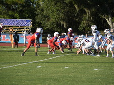 Enlarge photo 564
