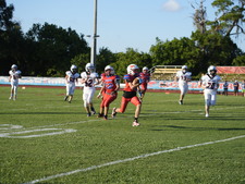 Enlarge photo 602
