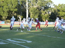 Enlarge photo 813