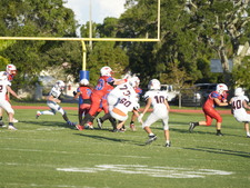 Enlarge photo 839