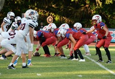 Enlarge photo 1026