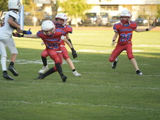 Enlarge photo 1069