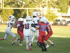 Enlarge photo 1073