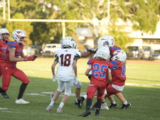 Enlarge photo 1077