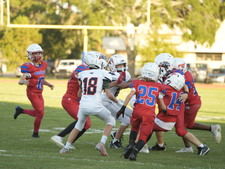 Enlarge photo 1078