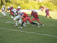 Enlarge photo 1101