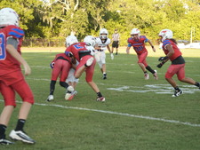 Enlarge photo 1109