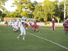 Enlarge photo 1133