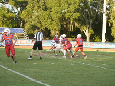 Enlarge photo 1147