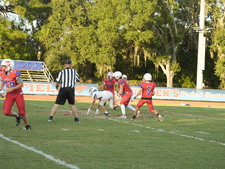 Enlarge photo 1148
