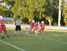 Enlarge photo 1149