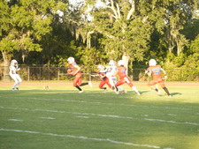 Enlarge photo 1169