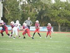 Enlarge photo 1375