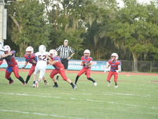Enlarge photo 1376