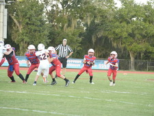 Enlarge photo 1377