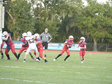 Enlarge photo 1378