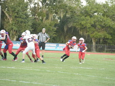 Enlarge photo 1379
