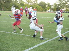 Enlarge photo 1407