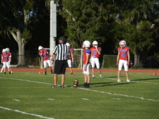 Enlarge photo 78