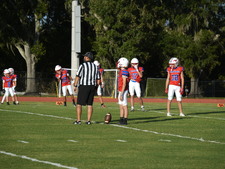 Enlarge photo 81