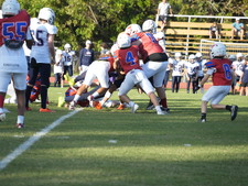 Enlarge photo 103