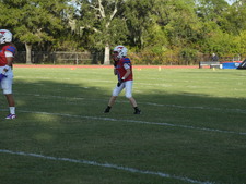Enlarge photo 117