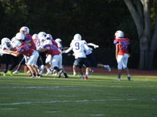 Enlarge photo 151
