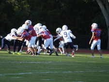 Enlarge photo 153