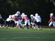 Enlarge photo 152