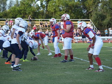 Enlarge photo 175
