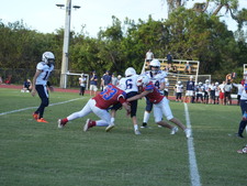 Enlarge photo 182
