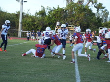 Enlarge photo 185