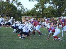 Enlarge photo 192