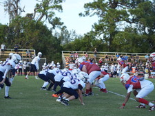 Enlarge photo 197
