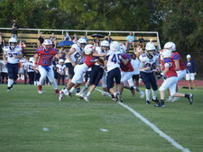 Enlarge photo 198