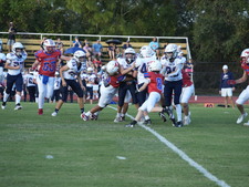 Enlarge photo 202