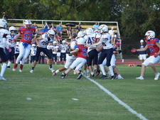 Enlarge photo 203