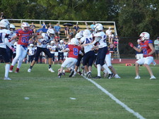 Enlarge photo 205