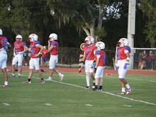 Enlarge photo 206