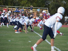 Enlarge photo 217