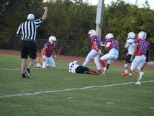 Enlarge photo 228