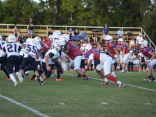 Enlarge photo 239