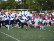 Enlarge photo 241