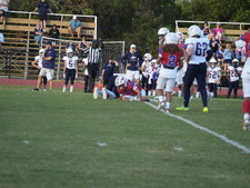 Enlarge photo 240
