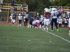 Enlarge photo 242