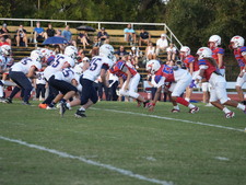 Enlarge photo 251