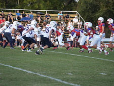 Enlarge photo 252