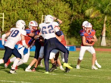 Enlarge photo 259