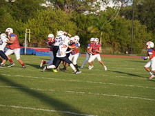 Enlarge photo 262
