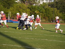 Enlarge photo 263